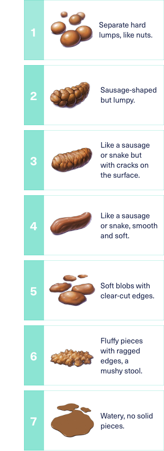 Ibs Stool